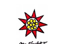Anna Elizabeth I Anna Elizabeth I Logo Latex Clothing Fashion Directory