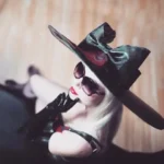 Debauchee Designs Latex Fashion Clothing Directory
